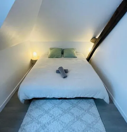 Апартаменты Le Duplex - Hyper Centre-ville - 6 Voyageurs *